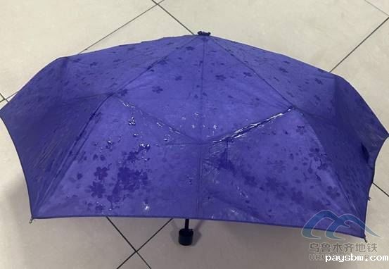 image040.jpg image040.jpg