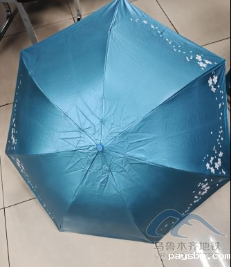 2025年8月22日地铁1号线站内遗失物品290.png 2025年8月22日地铁1号线站内遗失物品290.png